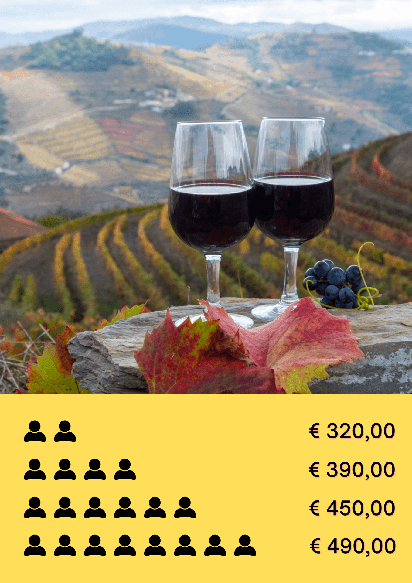Douro Valley Private Wine Tour