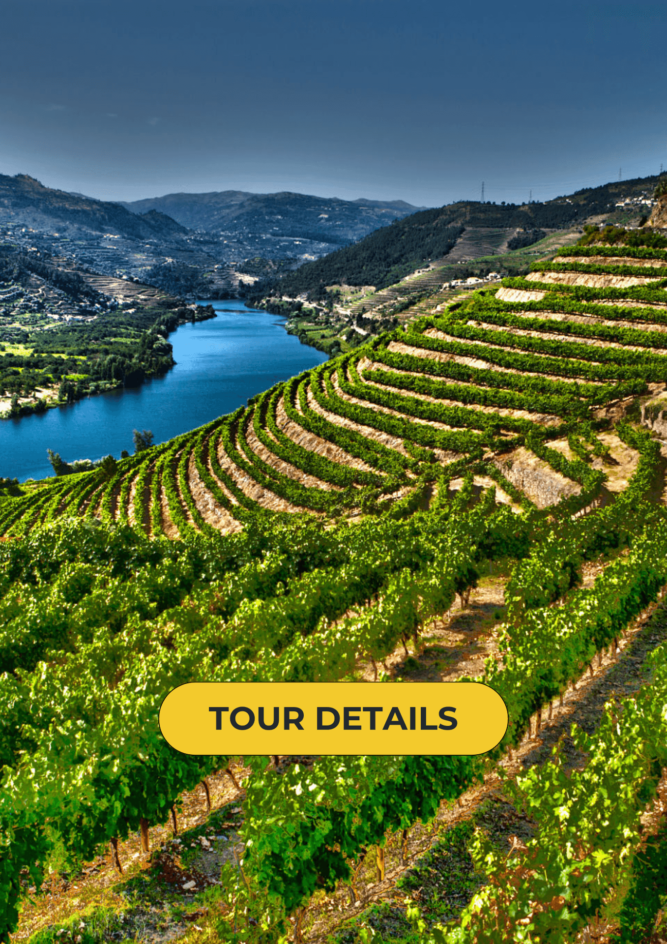 Douro Valley - Trip from Porto
