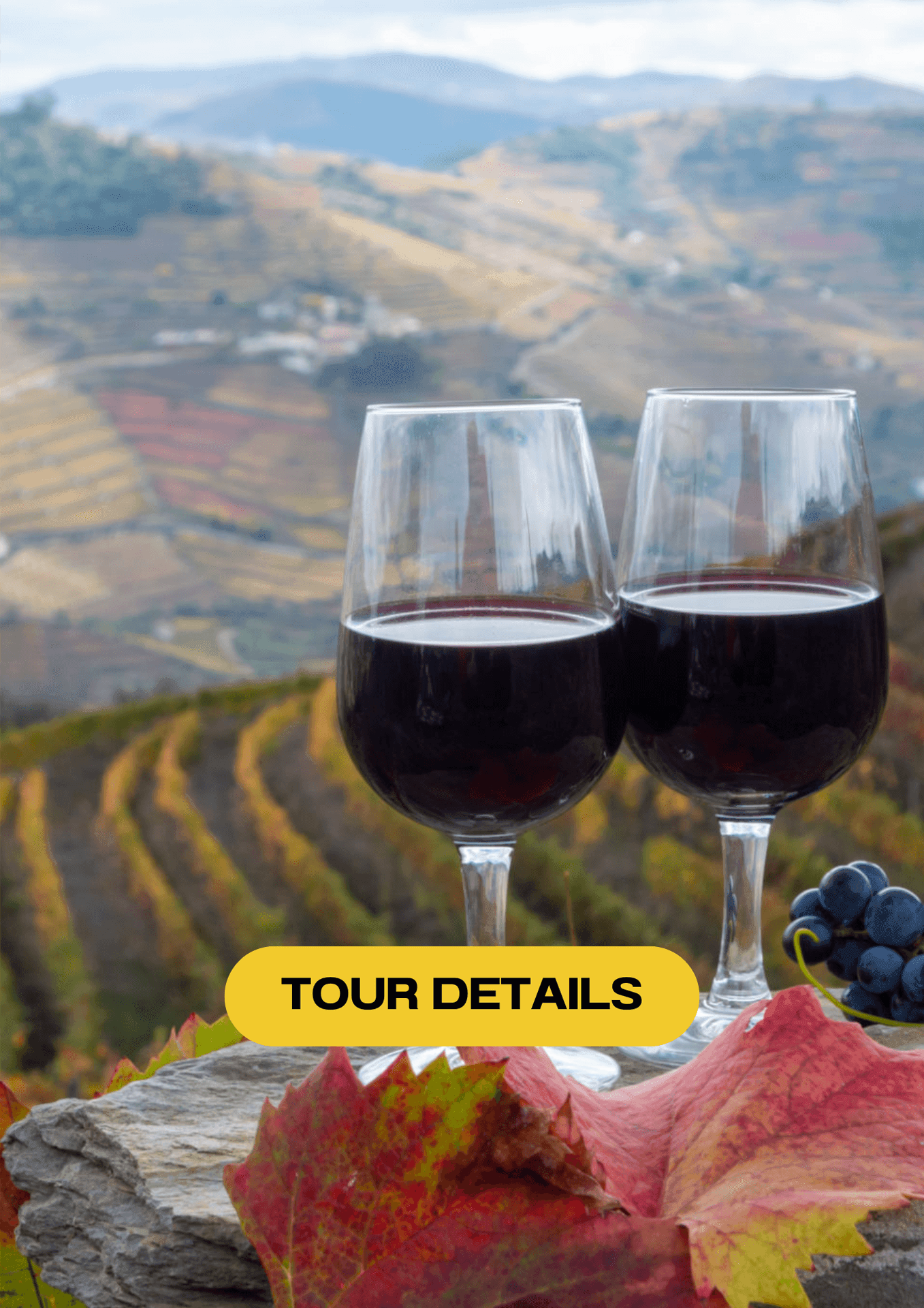Douro Valley – Trip from Porto with Wine Tasting