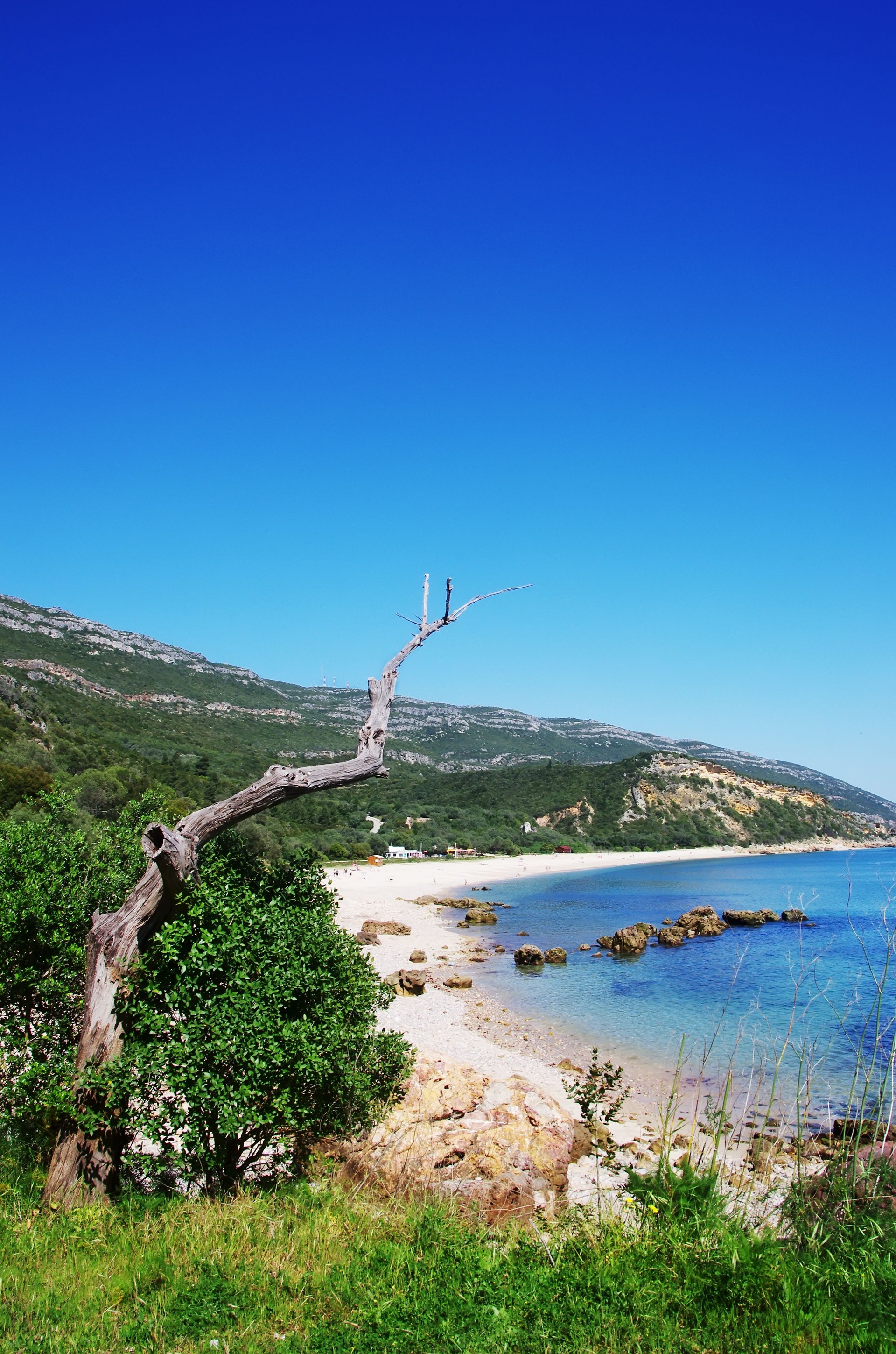 beach in Portinho da Arrabida