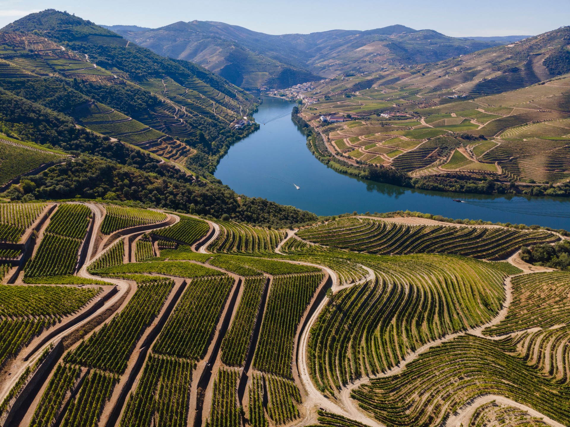 Douro Valley near Pinhão
